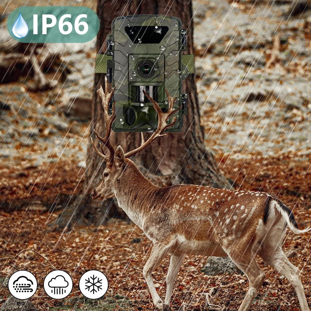PR803W 8K Wireless Trail Camera | Wi-Fi Security Monitor with Phone App & Night Vision - Image 6